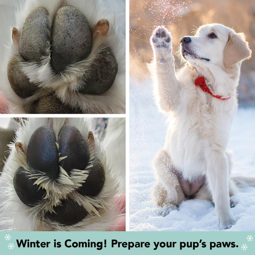 Pawtection Balm for Dogs – Winter Paw Protection from Snow, Ice & Salt, Wax-Based Paw Barrier Balm, All Breeds for Cold Weather Walks & Outdoor Adventures, Lick-Safe, 1 Oz Tin