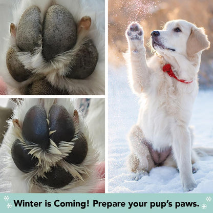 Pawtection Balm for Dogs – Winter Paw Protection from Snow, Ice & Salt, Wax-Based Paw Barrier Balm, All Breeds for Cold Weather Walks & Outdoor Adventures, Lick-Safe, 1 Oz Tin