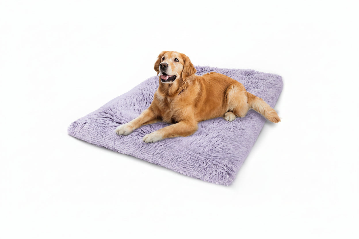 Dog Bed, Extra Large, Plush Soft Pet Beds for XL Dogs, Crate Pad, Washable, 41L X 27W X 2H Inches, 100 Lbs Capacity, Grey