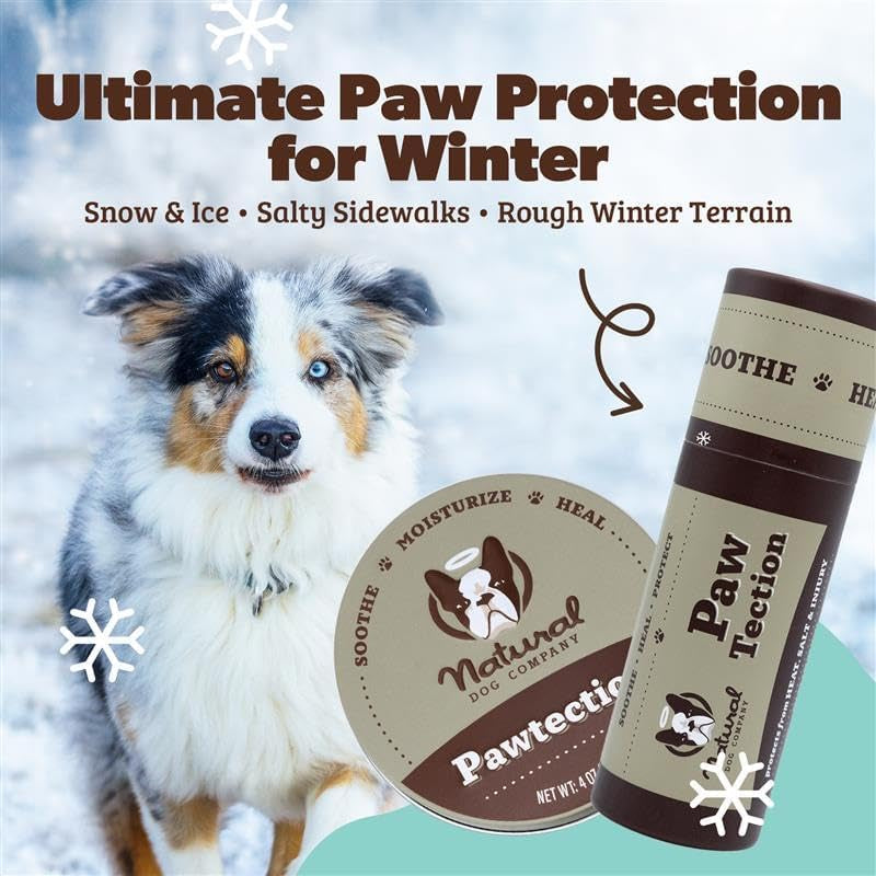 Pawtection Balm for Dogs – Winter Paw Protection from Snow, Ice & Salt, Wax-Based Paw Barrier Balm, All Breeds for Cold Weather Walks & Outdoor Adventures, Lick-Safe, 1 Oz Tin