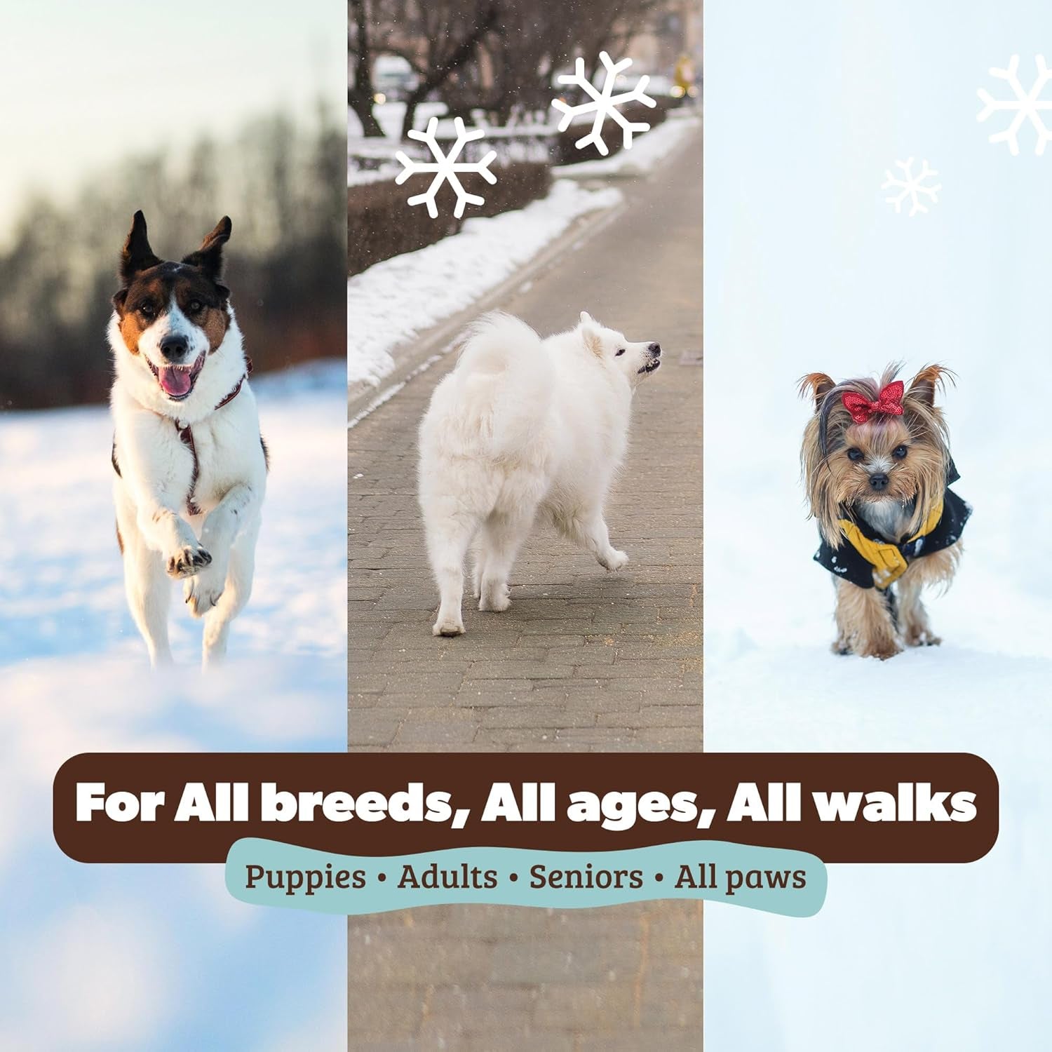 Pawtection Balm for Dogs – Winter Paw Protection from Snow, Ice & Salt, Wax-Based Paw Barrier Balm, All Breeds for Cold Weather Walks & Outdoor Adventures, Lick-Safe, 1 Oz Tin