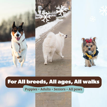 Pawtection Balm for Dogs – Winter Paw Protection from Snow, Ice & Salt, Wax-Based Paw Barrier Balm, All Breeds for Cold Weather Walks & Outdoor Adventures, Lick-Safe, 1 Oz Tin